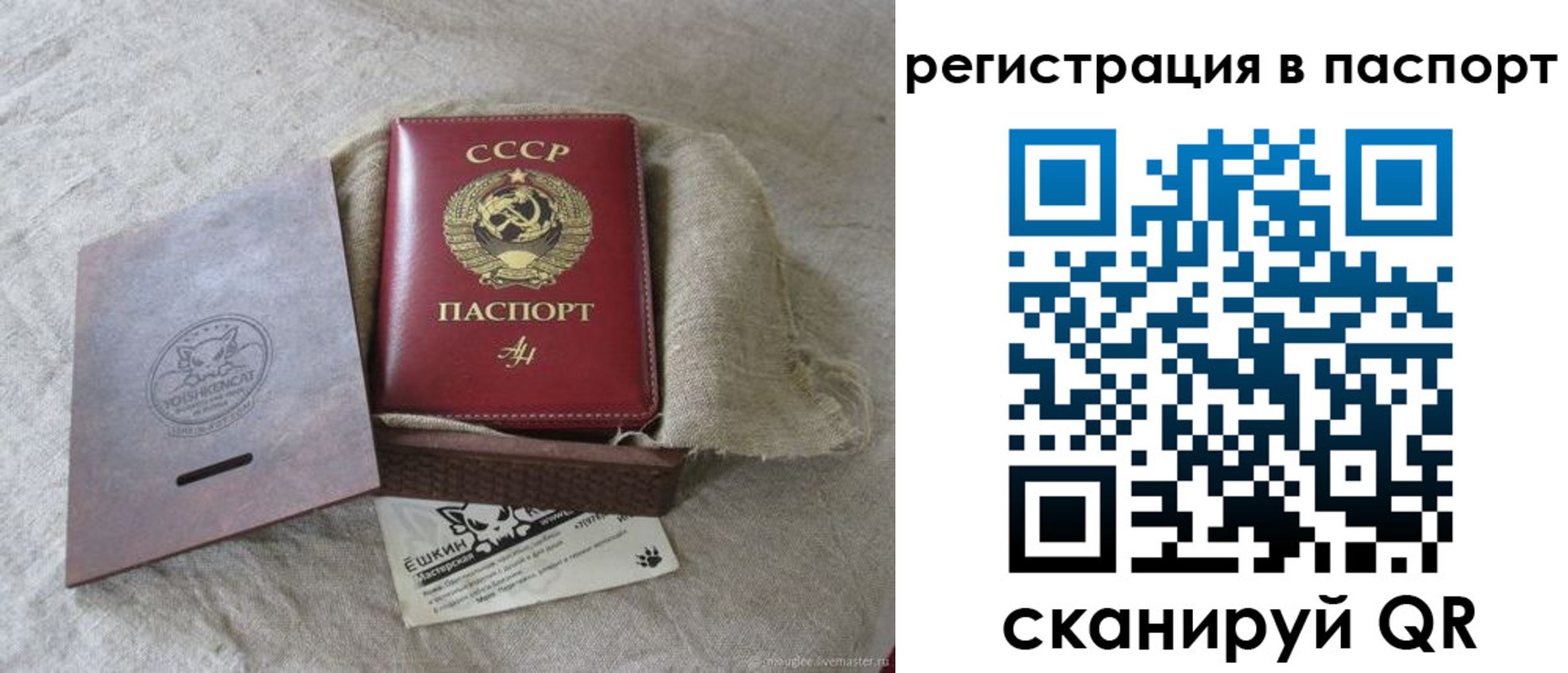 где прописаться в Жирновске